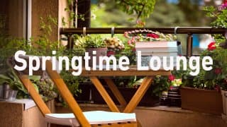 Springtime Lounge Coffee Jazz & Bossa Nova Instrumental - Relax Spring Jazz Cafe Music For Good Mood